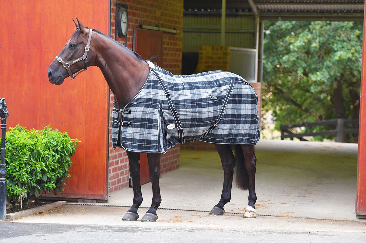 Horse Rugs Caribu Horse Wear